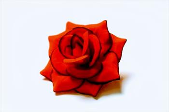 Голова розы Г786