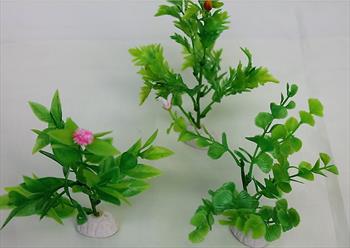 Аквариумные растения И02