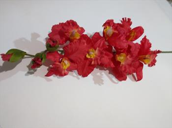 Ветка орхидеи В19