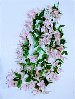 Свисающая ветка орхидеи В15