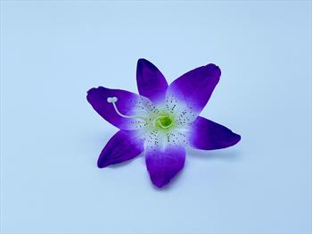 Голова лилии Г34