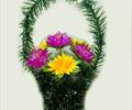 Корзина с  клематисами К73
