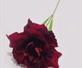 Одиночная  роза бархатная ОД01