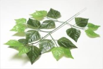 Ветка дерева березы В03