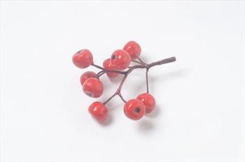 Ветка ягоды- ранетка В01