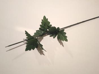Стебель с листом хризантемы Н08