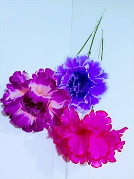 Одиночный пион ОД93