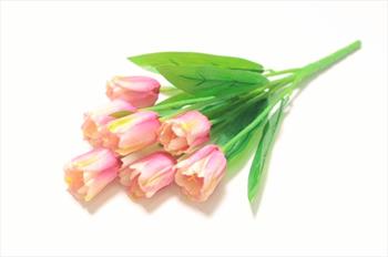 Букет тюльпанов Б266