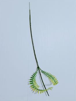 Стебель с папоротником Н01