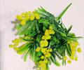 Букет мимозы Б2