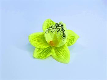 Голова орхидеи Г03