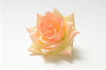 Голова розы Г51