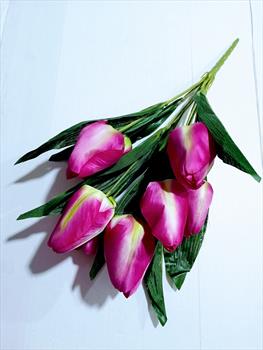 Букет тюльпанов Б99