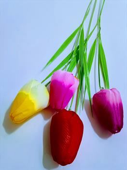 Одиночный тюльпан ОД16