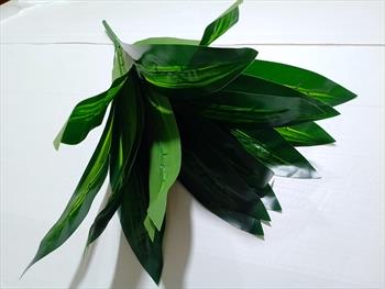 Куст драцены Б04