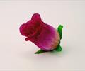 Голова бутона розы Б19