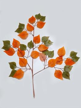 Ветка с осенними листьями В01