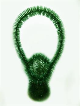 Фон корзины Ф10