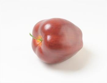 Яблоко декоративное И01