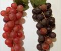Виноградная гроздь ИН01