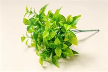 Букет зелени Б113