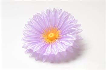 Голова герберы Г17