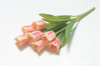 Букет тюльпанов Б64