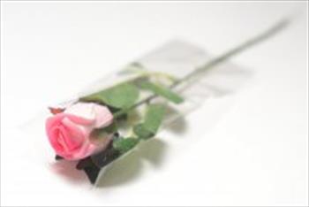 Одиночная роза латексная ОД01