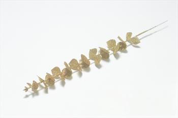 Ветка эвкалипт мерцающий В13