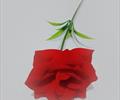Одиночная роза ОД21