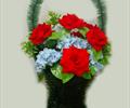 Корзина с розами К197