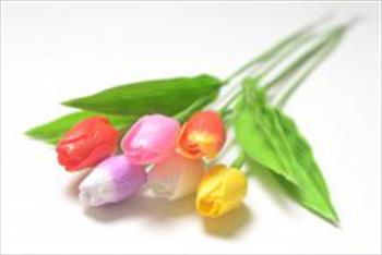 Тюльпан ОД02